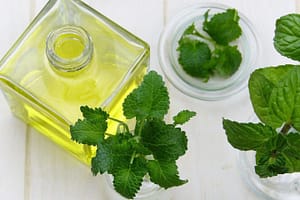 mint oils