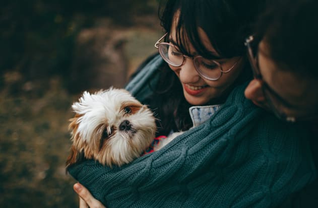 dog