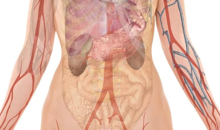 Medical Treatment for Irritable Bowel Syndrome